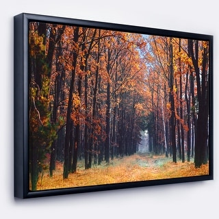 Designart "Alley in the Dense Autumn Forest" Forest Framed Canvas Art Print