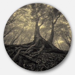 Designart 'Tree with Big Roots on Halloween' Landscape Photo Disc Metal Artwork