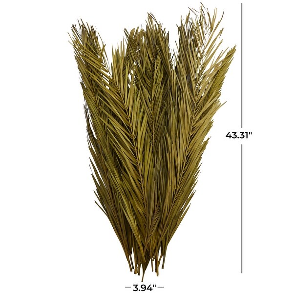 Green Dried Plant Palm Leaf Natural Foliage with Feather Inspired Stems