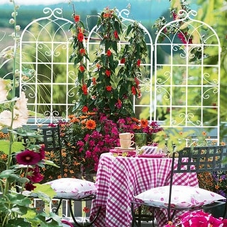 2 Pack Metal Garden Trellis Rustproof Trellis
