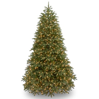 Jersey Fraser Fir Medium Hinged Tree