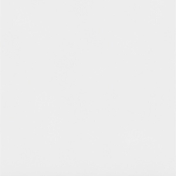 Living Essentials by Hillsdale Alexis Wood Arch Twin Over Twin Bunk Bed