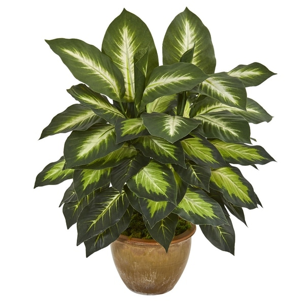 Dieffenbachia Artificial Plant in Ceramic Planter - 18"