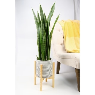 UPshining Mid Century Ceramic Planter 8" Gray with Wood Stand