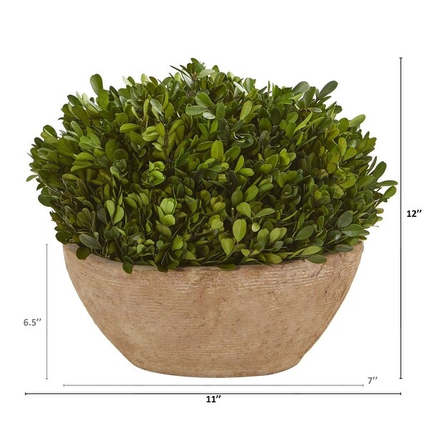 Nearly Natural 12" Boxwood Preserved Plant in Oval Planter - Green