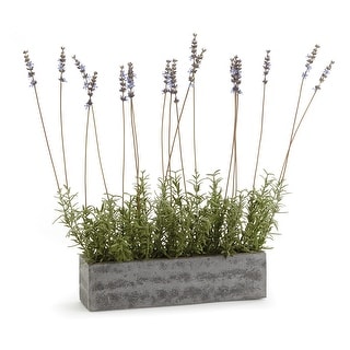 French Lavender In Trough 19"