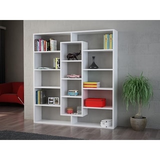 Ample Bookcase 53.4" x 49.7"