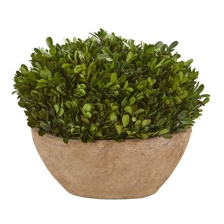 Nearly Natural 12" Boxwood Preserved Plant in Oval Planter - Green