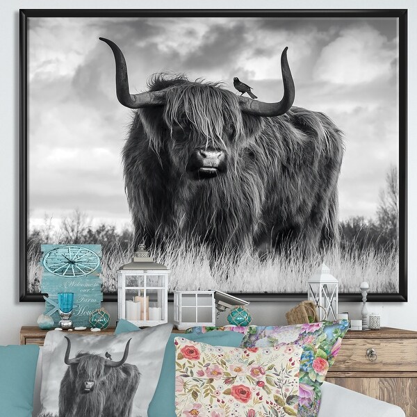 Designart "Longhaired Scottish Bull" Cottage Framed Canvas Art Print