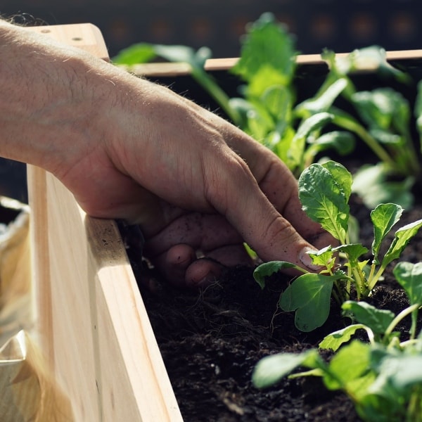 VEIKOUS Raised Garden Bed Elevated Planter Box with Drainage Holes