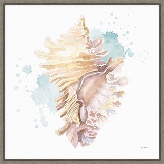 Salento Coast IV (Seashell) by James Wiens Framed Canvas Art