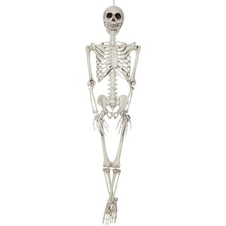 36" White Realistic Hanging Skeleton Halloween Prop
