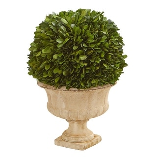 Nearly Natural 12" Boxwood Topiary Ball Preserved Plant in Decorative Urn - Green
