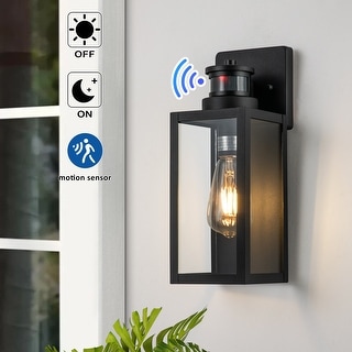 2-Pack Motion Sensing Dusk to Dawn Matte Black Outdoor Wall Lantern