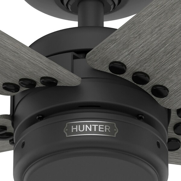 Hunter 52" Burton Outdoor Ceiling Fan and Wall Control, Damp Rated