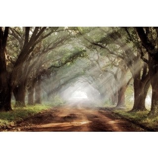 Mike Jones 'Evergreen Plantation' Gallery Wrap Canvas