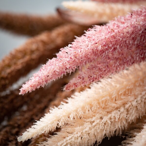 35.5"H Sullivans Tall Desert-Hued Grass Plumes Set of 3, Multicolor - 6.25"L x 6.25"W x 35.5"H