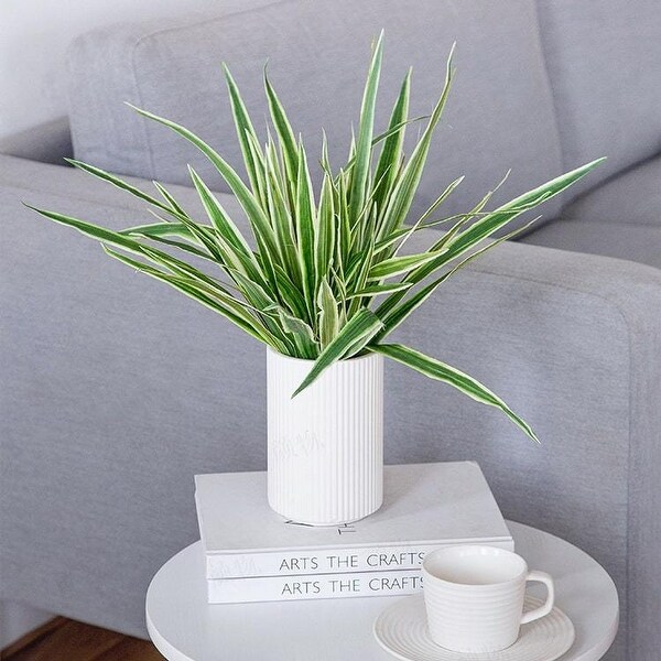 FloralGoods Artificial Gladiolus Plant Leaf Stem 15.7" Tall