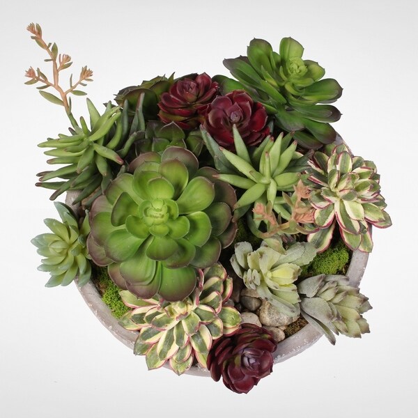 Artificial Succulent Variety in a Modern Cement Round Bowl