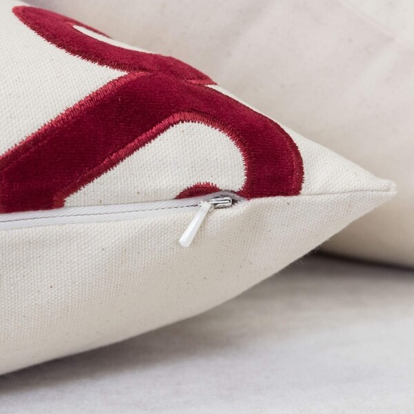 Carly Applique Embroidery 20" Square Decorative Throw Pillow