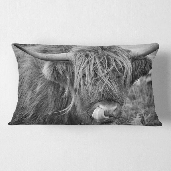 Designart 'Scottish Cow On Moorland II' Farmhouse Printed Throw Pillow