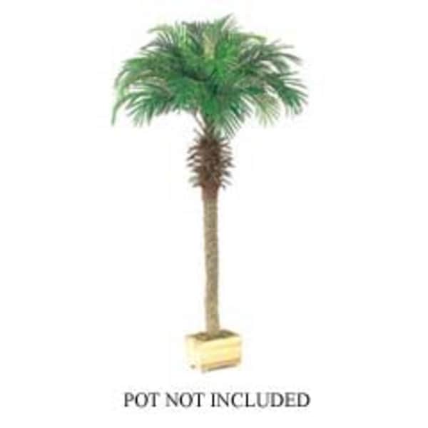 Set of 2 Artificial Phoenix Palm Trees 6'