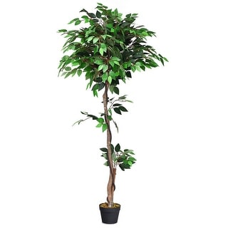 5.5 ft Artificial Ficus Silk Tree with Wood Trunks - 66" H x 7" D