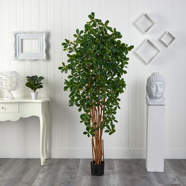 6-foot Black Olive Silk Tree - Green
