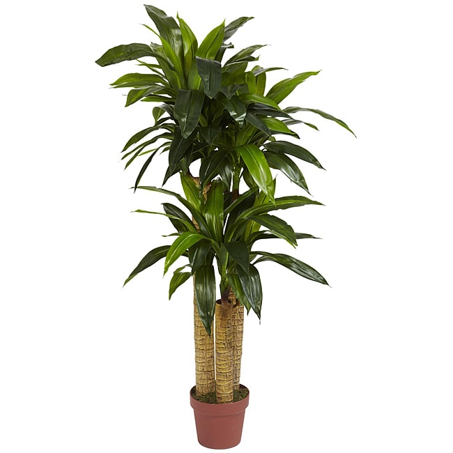 Silk 4-foot Potted Corn Stalk Dracaena Plant - Green - 4'h x 2'd