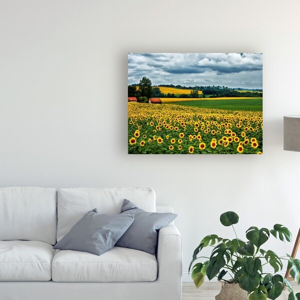 Colby Chester 'Pastoral Countryside Iv' Canvas Art