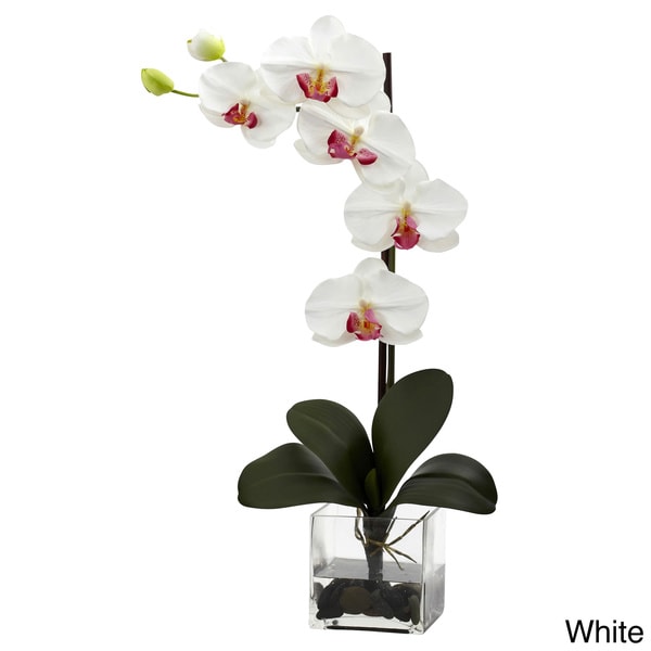 Giant Phal Orchid with Vase Arrangement