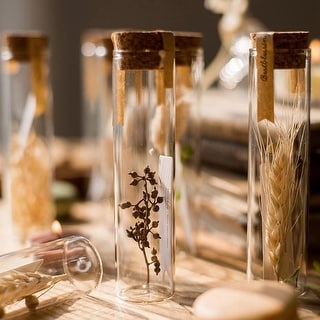 RusticReach Natural Dried Flower in Glass Tube Randomly Picked Set of 5