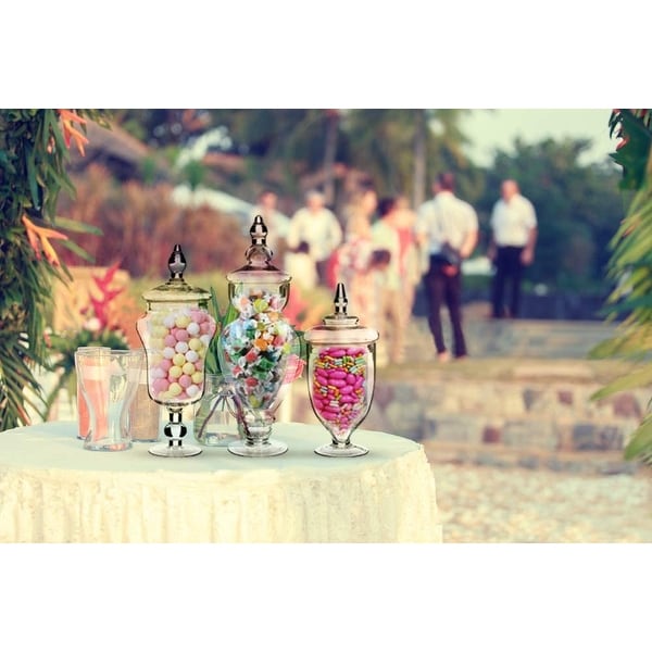 Palais Apothecary Jars - Set of 3 - Wedding Candy Buffet Containers, Large, Clear - Large