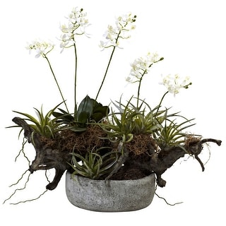 22" Orchid and Succulent Artificial Garden in Driftwood Vase