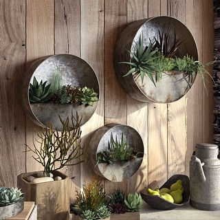 Aria Succulent Wall Planters (Set of 3) - 16"H x 16"W / 12.5"H x 12.5"W / 10"H x 10" W