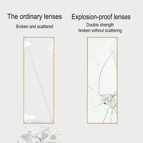 Full Length Mirror Hanging Standing or Leaning