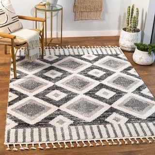 Artistic Weavers Severy Braided Tassel Boho Area Rug