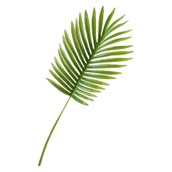 Small Hawaiian Palm Leaf (Set of 3)