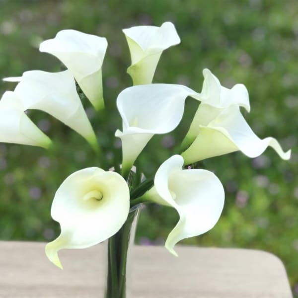 Enova Home 9 Heads Artificial Cream Real Touch Lily Fake Silk Flowers Arrangement in Clear Glass Vase with Faux Water