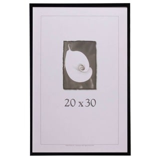 Architect Picture Frame (20" x 30")