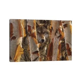 iCanvas "Wolf Guardian, Horizontal" by Collin Bogle Canvas Print