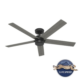 Hunter 52" Burton Outdoor Ceiling Fan and Wall Control, Damp Rated