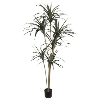 Dracena Marginata , 6 Ft 146 Silk Leaves Black Pot - 6 Feet