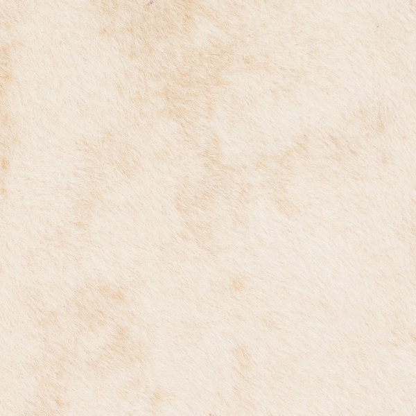 Alexander Home Ivory Faux Cowhide Area Rug