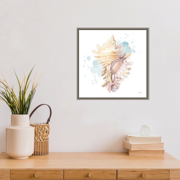 Salento Coast IV (Seashell) by James Wiens Framed Canvas Art