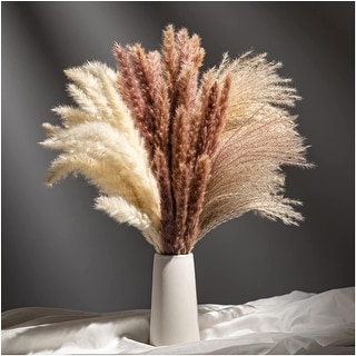 Natural Dried Pampas Grass for Flower Arrangements Wedding