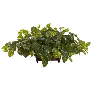 Pothos w/Rectangle Decorative Planter - 16"H x 36"W x 14"D