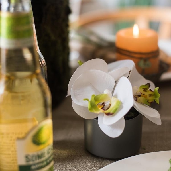 RusticReach Mini Real Touch Potted Orchid in White