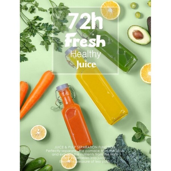 Slow Masticating Juicer Extractor with 3 Mode, 2 Speed