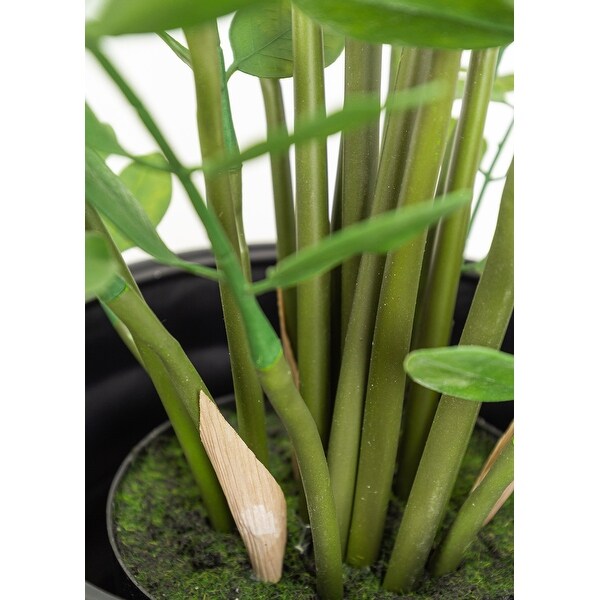 Kamuning 34 Inch Height Faux Botanical Plant